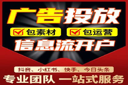 成功SEM托管案例解析