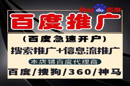 专业SEM托管：企业广告投放的明智之选